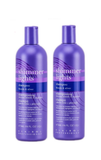 2 PACK - Clairol Shimmer Lights Shampoo / Blonde Silver 16 oz