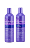 Clairol Shimmer Lights Shampoo Blonde And Silver 16 oz (pack of 2)