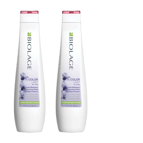 2 pack - Matrix Biolage / Colorlast Purple Violet Shampoo 13.5 oz