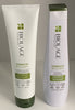 Matrix Biolage Strength Recovery Shampoo OR Conditioner Choose your item