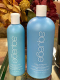 Aquage Color Protecting Shampoo Choose Size