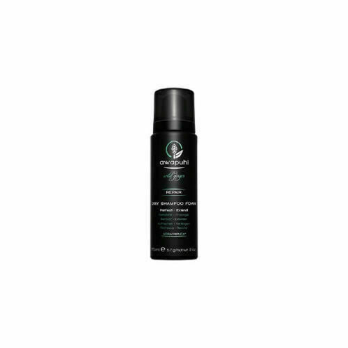 Paul Mitchell Awapuhi Ginger Dry Shampoo Foam travel size black can with white and green label
