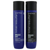 Matrix Total Results Brass Off Shampoo & Conditioner 10oz Duo *